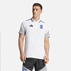 Ανδρικό Ποδοσφαιρικό T-shirt Polo ΕΛΛΑΣ 2026 Λευκό